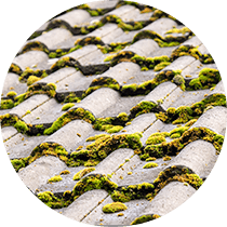 サビやカビの進行